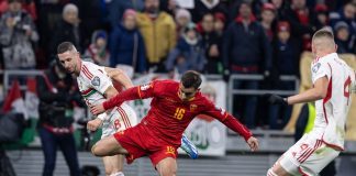 Andrija Radulović u akciji